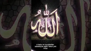 Peygamber Efendimiz SAV'in sahih hadisleri