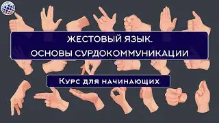 Жестовый язык. Основы сурдокоммуникации. Курс для начинающих в Санкт-Петербурге.