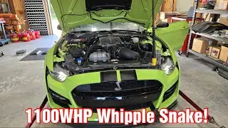 Another 1100WHP 3.8L Whipple Supercharged GT500 Tuned!