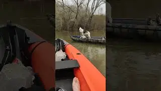 Двое в лодке и собака