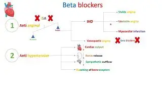 Beta blockers - Part 3 - in Arabic