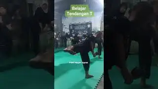 Belajar Tendangan T