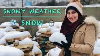 Learn English in the snow.. Snow Expressions and Idioms