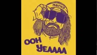 Video #142 Macho Man  Oh Yeah  Sound Clip
