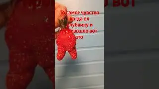 #мем #memes #2024 #amogus