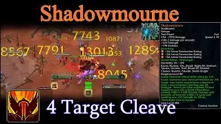 Shadowmourne Fury Warrior | x4 Training Dummy Burst | WotLK Classic