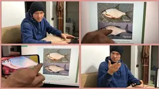 Глухих - Рыба густера или лещ ? 