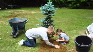 Planting a tree (favorite thing to do)
