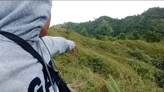 Sa ibang erea na naman tayo mag picture ng niyog