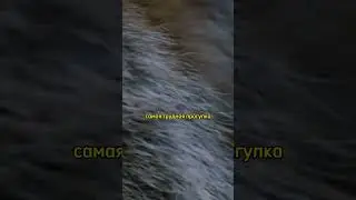 цитаты великих людей #цитатысосмыслом #цитаты