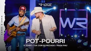Wellington & Rafael - É Tenso / Da Cor do Pecado / Paga Pau | DVD Carne e Unha