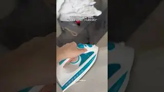 Cat demands an audience 