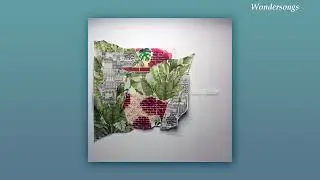 Hoguera - Rosario Bléfari (Letra)
