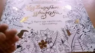 Видео обзор на рамкраску анти стресс удивительные джунгли