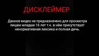 дисклеймер