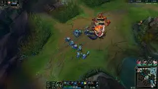 NERF WW S11