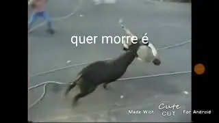 Vó te vome