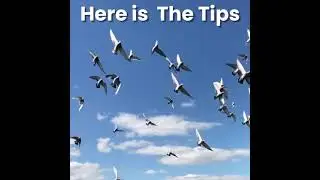 Telegram Tips Form Telegram Directory App to learn Telegram Marketing Usernames,