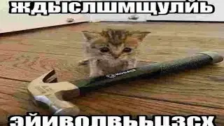 вроде взрослые люди, а мозгов нет