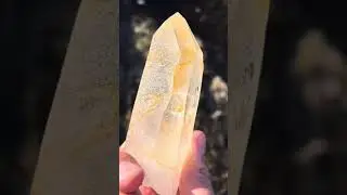 Gold Atlantean Lemurianseed, Corinto, Minas Gerais, Brazil