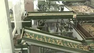 Schouten Sorting Equipment - Sorteerlijn Interseed Potatoes 2012
