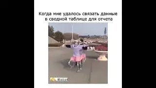 когда мне удалось связать данные в сводной таблице для отчета #excel #юмор #мем #шутки #memes #мемы