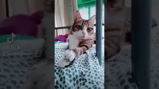 You just can't resist that cutie face 