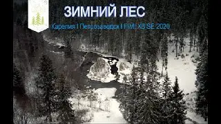 ЗИМНИЙ ЛЕС l НАКОНЕЦ-ТО ВЫПАЛ СНЕГ l FIMI X8 SE 2020