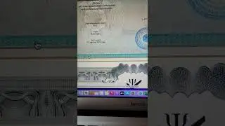 Детище Алены Полынь рухнуло? Больше нет сайта исв. Где мастера исв?