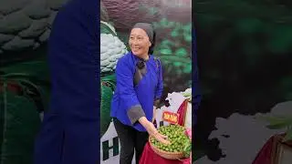 Thơ Nông Sản tham dự hội chợ quảng bá, tiêu thụ Na và sản phẩm OCOP Chi Lăng, Lạng Sơn. Xã Y Tịch