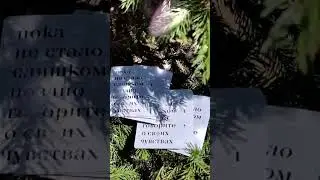Мир не так страшен, как кажется и пока у нас есть время.. говорите о своих чувствах #театр #чувтсва