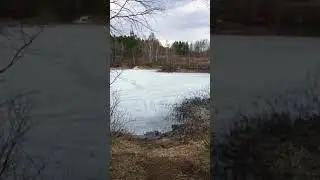 #Немного об отдыхе #на природе
