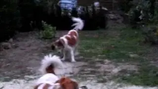 spelen 2 mei 2009