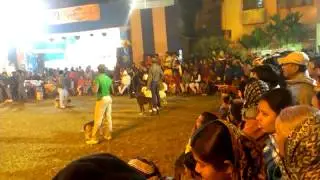Kolkata Dog Show 2013