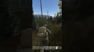 DayZ- идем на выстрелы