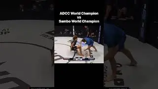 Who do you got bjj or sambo #mma #ufc #conormcgregor #ufc300