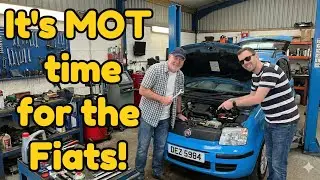 MOT time for Panda and 500L
