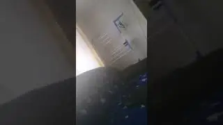 1 февраля 2022 г.