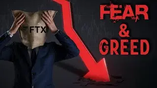 Fear & Greed: What Really Caused the Crypto Collapse