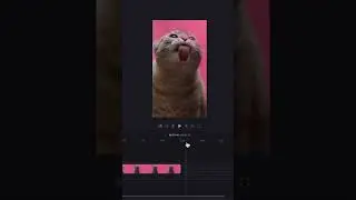 Want to turn your #video into a #GIF? Do it with Clipchamp 😮‍💨