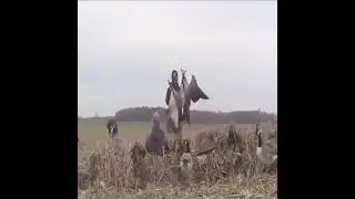 amazing video/AN KHAN ISLAMIC VIDEOS