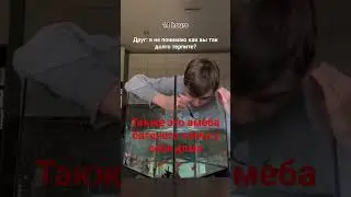 #друг