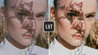 Fast Film FREE Lookup Table (LUT) - Before & After