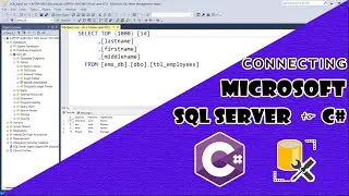 Connecting Microsoft SQL Server to C#