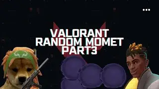 VALORANT RANDOM MOMENT part3