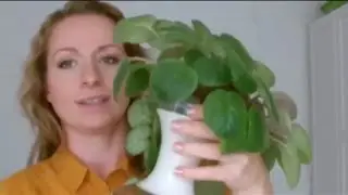 Paar Wörter zur Bestellung und Verpackung.