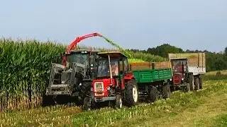 Koszenie Wielkiej Kukurydzy na Kiszonkę ! 3x Ursus & Valtra ! Głuchów Team