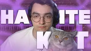 КОТ ДЕЛАЕТ БИТ ЗА МЕНЯ! КОТ — БИТМЕЙКЕР \ Ableton Live