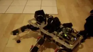 My hexapod Animabot is curious !