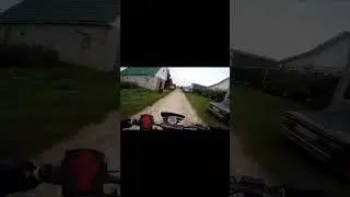 ЧУТЬ НЕ СБИЛ КОТА И НЕ ВЛЕТЕЛ В МАШИНУ?!